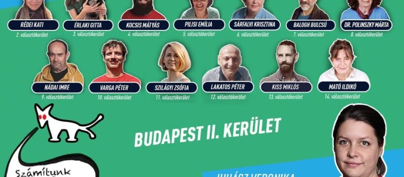 1. választókerület: Juhász Veronika, 2. választókerület: Rédei Kati, 3. választókerület: Érlaki Gitta, 4. választókerület: Kocsis Mátyás, 5. választókerület: Pilisi Emília, 6. választókerület: Sárfalvi Krisztina, 7. választókerület: Balogh Bulcsú, 8. választókerület: dr. Polinszky Márta, 9. választókerület: Nádai Imre, 10. választókerület: Varga Péter, 11. választókerület: Szilágyi Zsófia, 12. választókerület: Lakatos Péter, 13. választókerület: Kiss Miklós, 14. választókerület: Mató Ildikó.