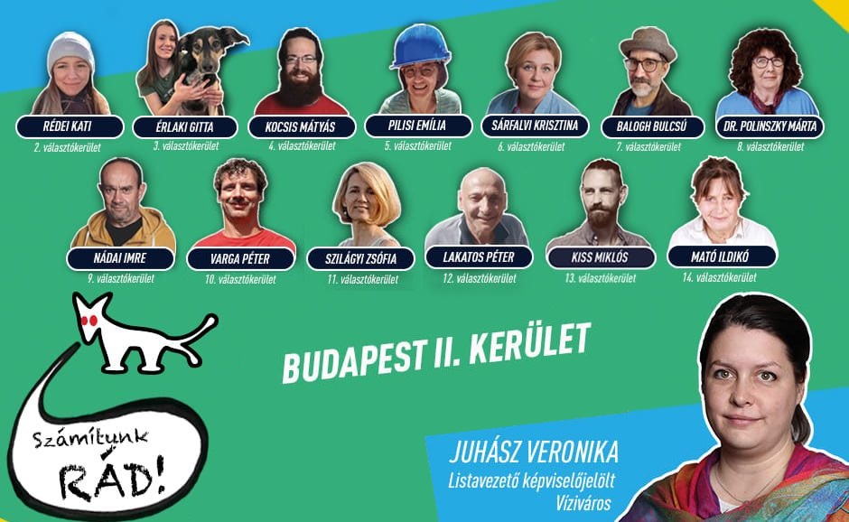 1. választókerület: Juhász Veronika, 2. választókerület: Rédei Kati, 3. választókerület: Érlaki Gitta, 4. választókerület: Kocsis Mátyás, 5. választókerület: Pilisi Emília, 6. választókerület: Sárfalvi Krisztina, 7. választókerület: Balogh Bulcsú, 8. választókerület: dr. Polinszky Márta, 9. választókerület: Nádai Imre, 10. választókerület: Varga Péter, 11. választókerület: Szilágyi Zsófia, 12. választókerület: Lakatos Péter, 13. választókerület: Kiss Miklós, 14. választókerület: Mató Ildikó.